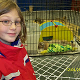 100_0038.JPG