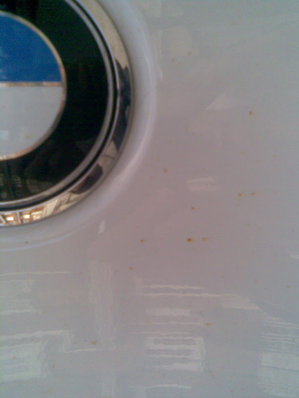Imagen098.jpg