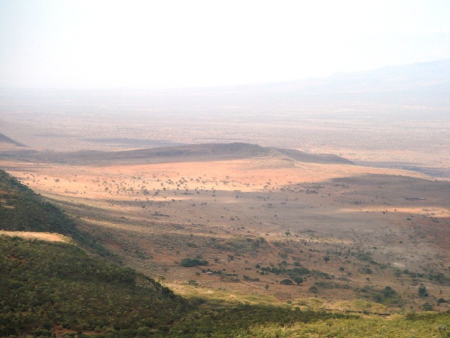 [DSC087482.jpg]