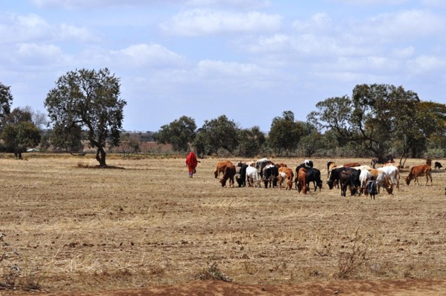 [Africa 2GB 311[2].jpg]