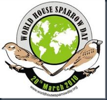 World-House-Sparrow-Day-2010