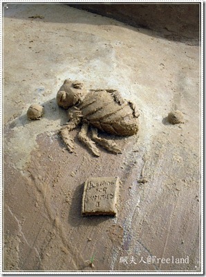 sand3 sand3