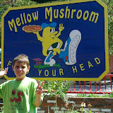 Sliding Mellow Mushroom