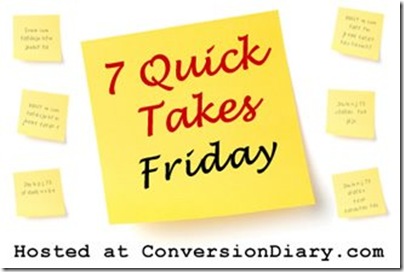 7_quick_takes_sm 7_quick_takes_sm