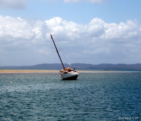 [DSCF44535.jpg]