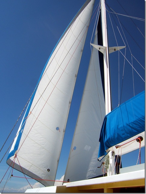 DSCF5038