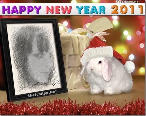 happy new year 2011 happy new year 2011