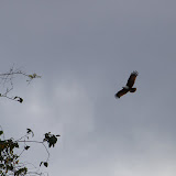 IMG_2790.JPG