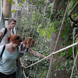 IMG_1671.JPG