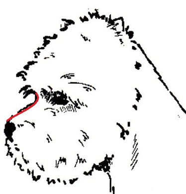 head4 head4
