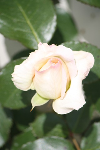 [27.06.2010 059.jpg]