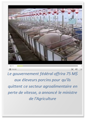 Industrie porcie