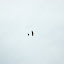 DSC_9623_resize.jpg