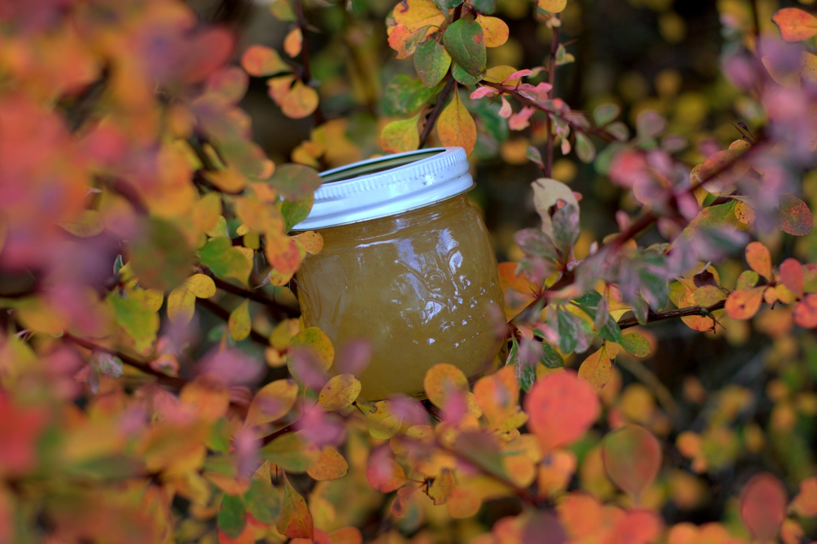 [img_0420 Pear Jam[2].jpg]