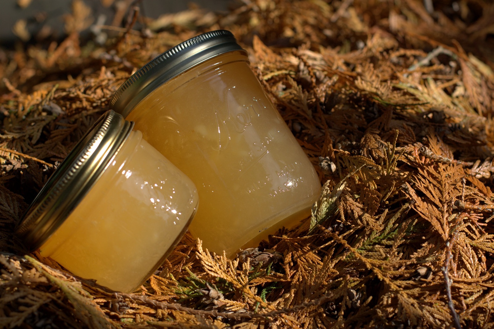 [img_0388 Pear Jam[2].jpg]