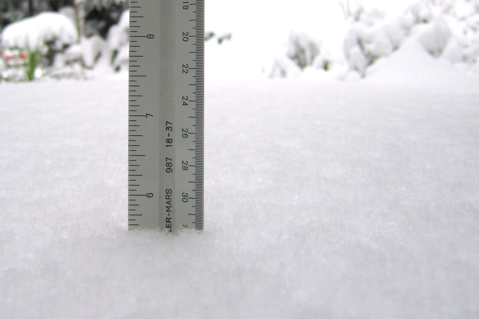 [IMG_7451 About 5.75 inches of snow[2].jpg]