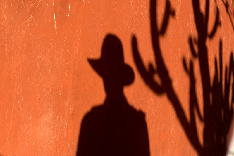 Red and black silhouette of me and cactus