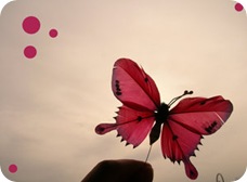 Red_Butterfly_by_sugardealer