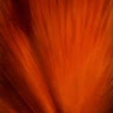 'Morphing 02.3'  Oil on canvas   cm.145x80.jpg