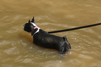 DSCF9406.JPG