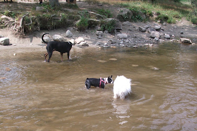 DSCF9505.JPG