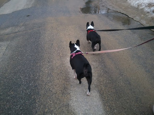 2011-03-05 15.57.50.jpg