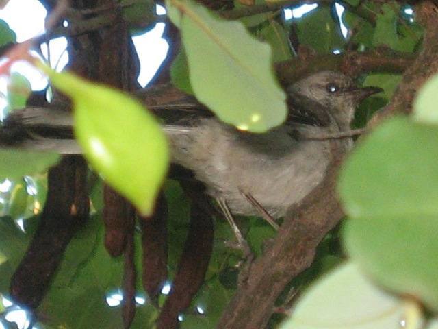 [IMG_20465.jpg]