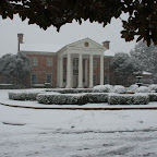Mansion Snow, February