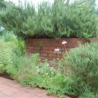 Mansion Herb Garden