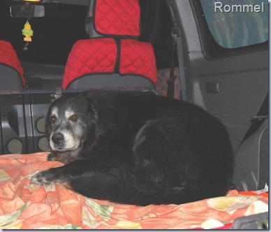 ROMMEL 1 ROMMEL 1