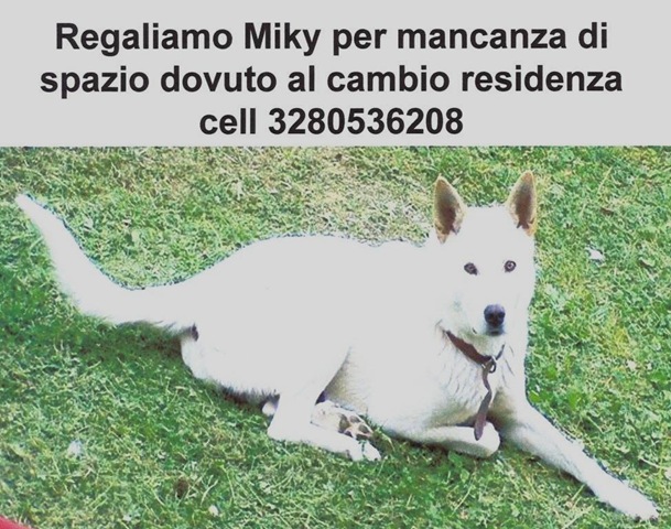 [MILKY[1].jpg]