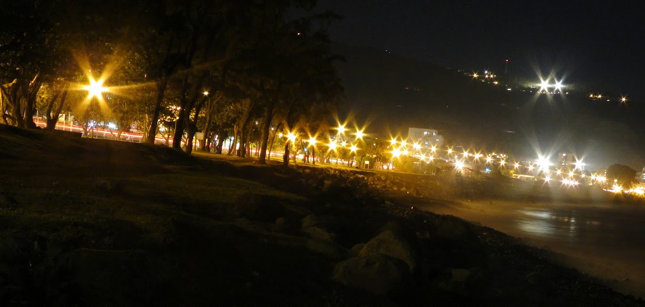 http://lh4.ggpht.com/_K7TVguVOEmo/TCWZlU1lULI/AAAAAAAAAcc/o53oej-ga_8/s1280/Fronddemer.jpg