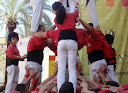 http://lh4.ggpht.com/_K8zYiW5EDX8/SfsyVmGa7NI/AAAAAAAAD3U/xvsK26MVSZo/P4260078.JPG