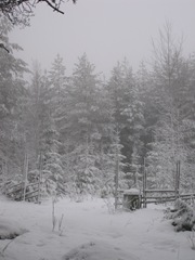 IMG_0275 IMG_0275