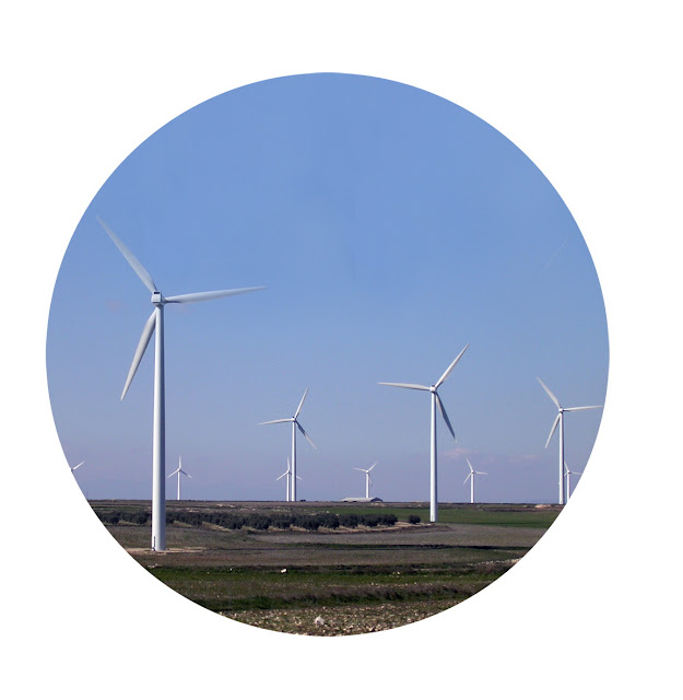 Parque_eólico_La_Muela.jpg