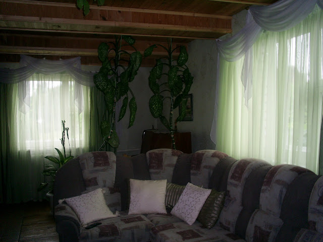 http://lh4.ggpht.com/_KBEO4FBZzao/TDm-rW01sGI/AAAAAAAAD_g/q4_x13Q0m1E/s640/S5028397.JPG