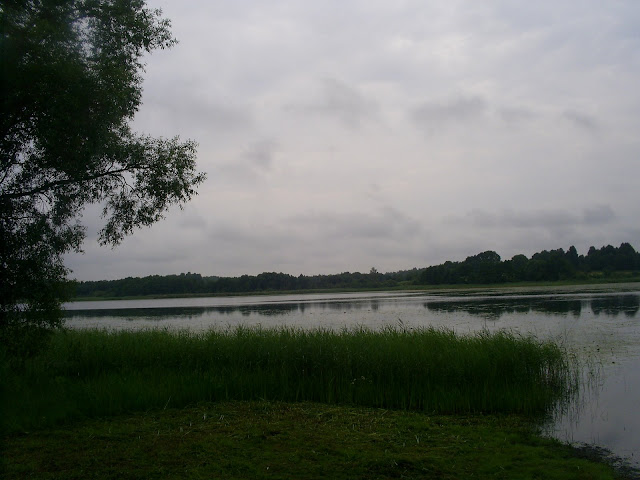 http://lh4.ggpht.com/_KBEO4FBZzao/TDm6XVohG_I/AAAAAAAAD3I/qdyAvml1UQA/s640/S5028273.JPG
