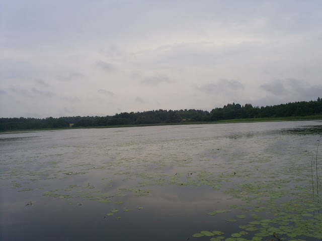 http://lh4.ggpht.com/_KBEO4FBZzao/TDm6czyH6FI/AAAAAAAAD3Y/XzRprl_eJ7w/s640/S5028277.JPG