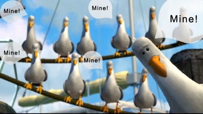 seagulls1