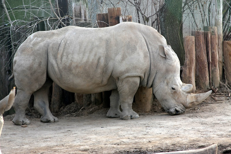 IMAGE: http://lh4.ggpht.com/_KCZEuPg6NCc/SbPo4edv6nI/AAAAAAAAAW8/S7cVgCwvysQ/s800/IMG_4904.JPG