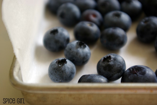 [Blueberries on tray[9].jpg]