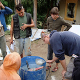 mixing plaster, earth, clay, cob, interns, courses, natural, building