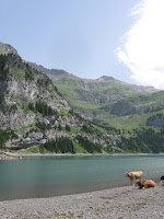 IMG_4195s.jpg Photo