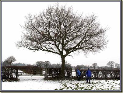 A winter scene in deepest Cheshire