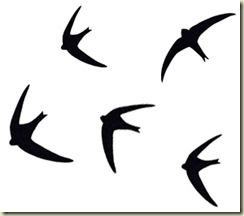 2802flying swifts 2802flying swifts