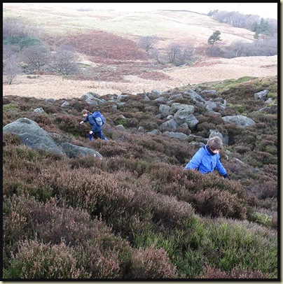 Two Sues trying to dodge fissures in the rocks hidden by the heather on Graham's 'off-piste' 'path'