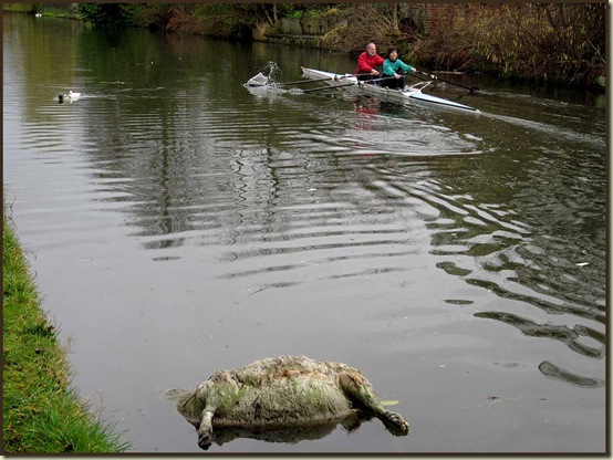 A scene on the Bridgewater Canal - 27/2/11