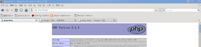 phpinfo()