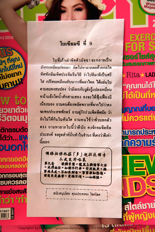 ย้อน กลับบ้านปีใหม่