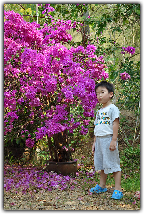 ฮมพุเตย ทู
